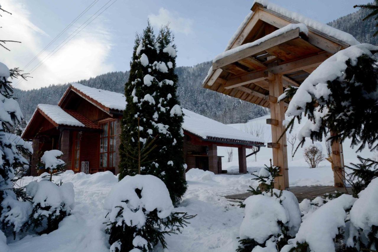 Studio Alpika Villa Luce Exterior photo